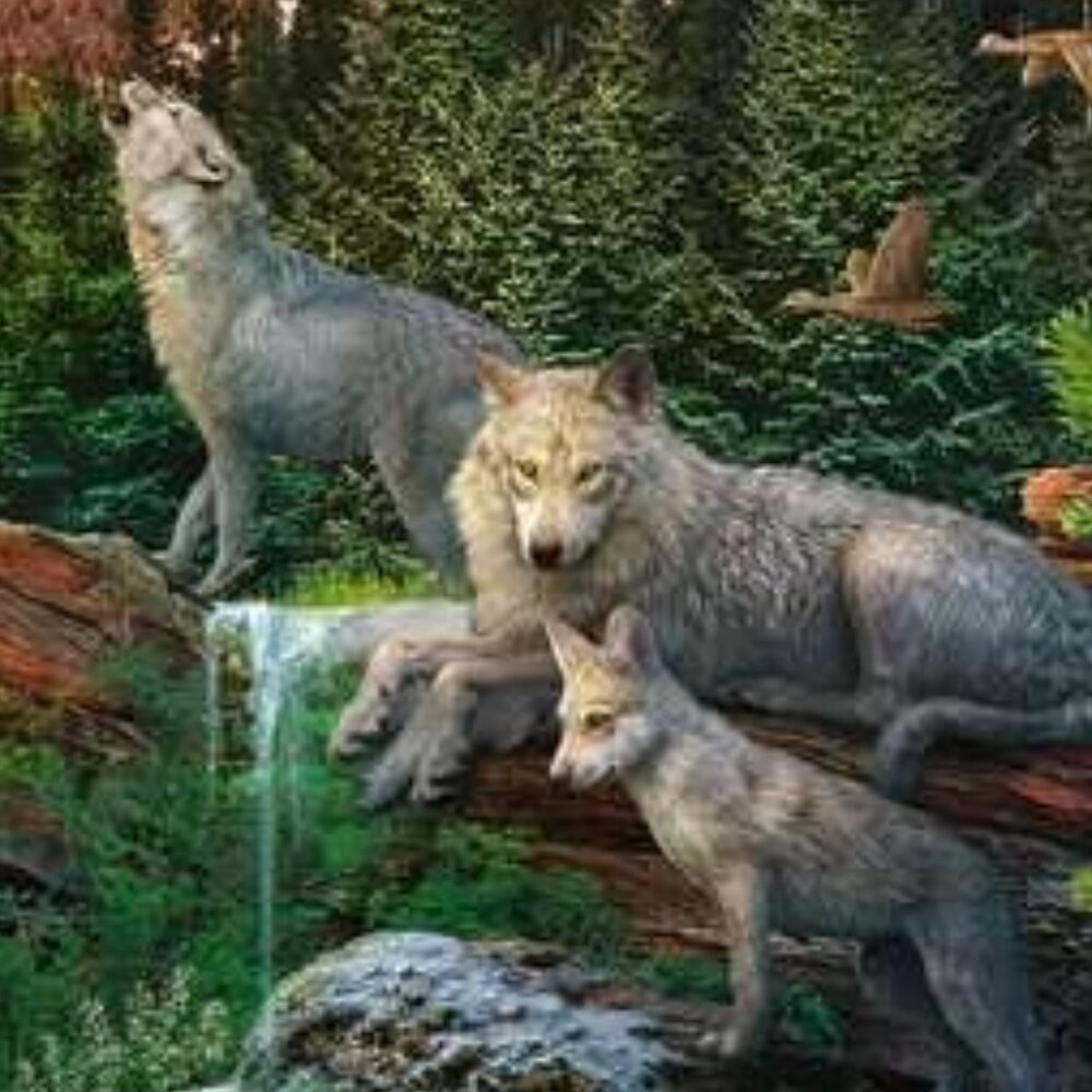 Ravensburger 1500pcs Puzzle-Wolves In Spring | Adult Puzzles New In Box - Picture 12 of 16